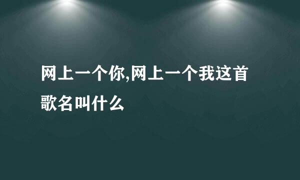 网上一个你,网上一个我这首歌名叫什么