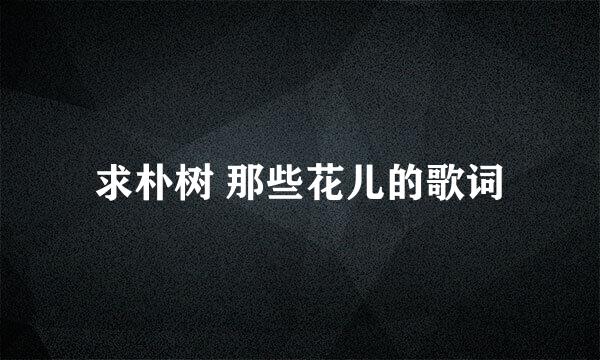 求朴树 那些花儿的歌词