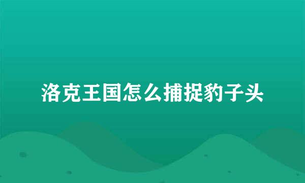 洛克王国怎么捕捉豹子头