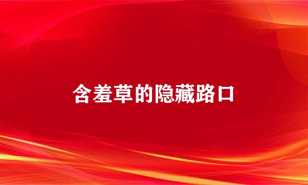 含羞草的隐藏路口