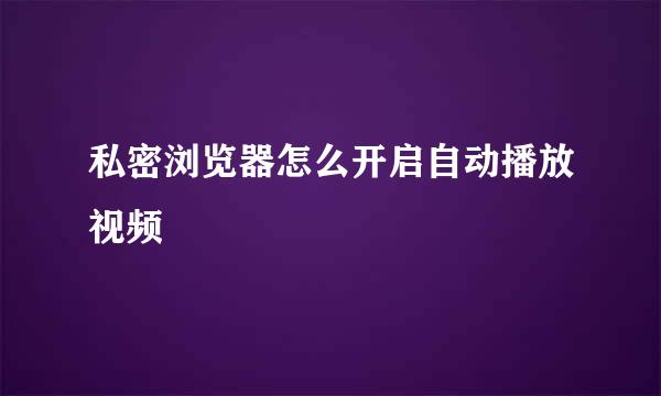 私密浏览器怎么开启自动播放视频