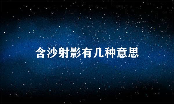 含沙射影有几种意思