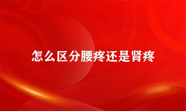 怎么区分腰疼还是肾疼