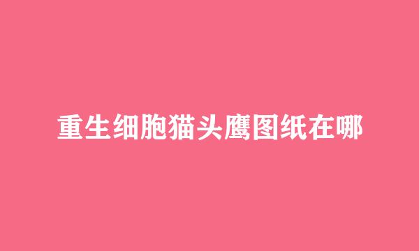 重生细胞猫头鹰图纸在哪