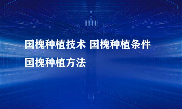 国槐种植技术 国槐种植条件 国槐种植方法