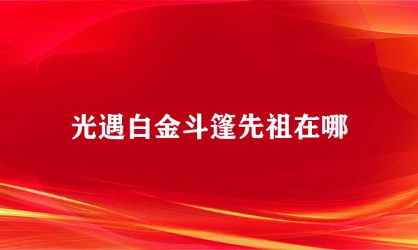 光遇白金斗篷先祖在哪
