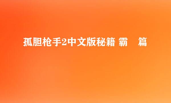 孤胆枪手2中文版秘籍 霸爺篇