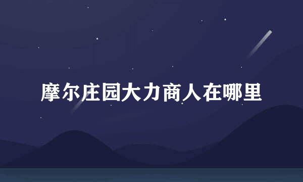 摩尔庄园大力商人在哪里