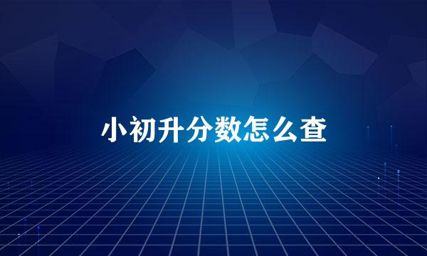 小初升分数怎么查