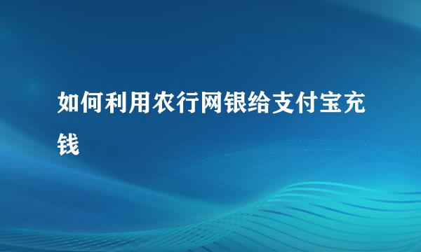 如何利用农行网银给支付宝充钱