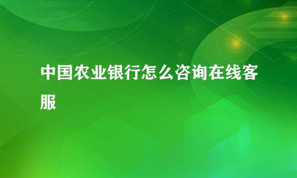 中国农业银行怎么咨询在线客服