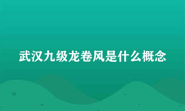 武汉九级龙卷风是什么概念