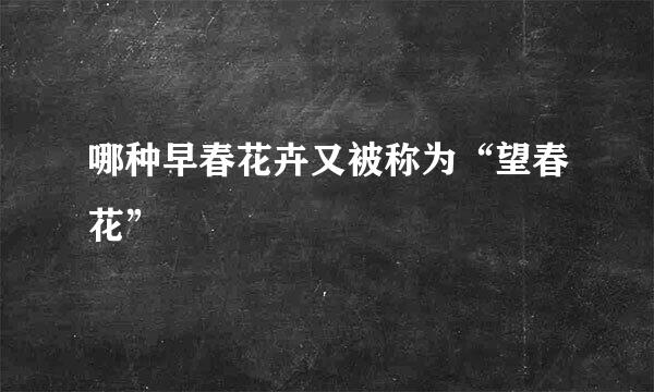 哪种早春花卉又被称为“望春花”