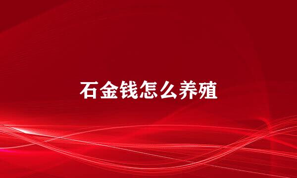 石金钱怎么养殖