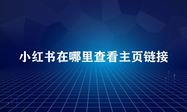 小红书在哪里查看主页链接