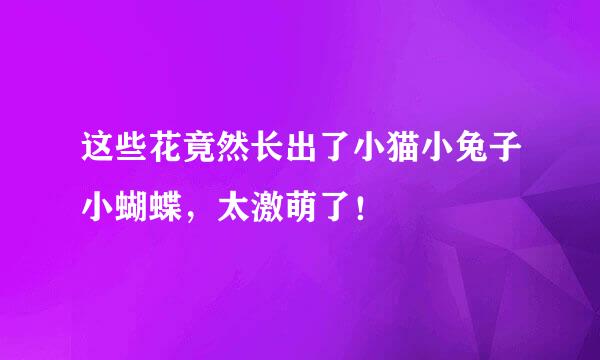 这些花竟然长出了小猫小兔子小蝴蝶，太激萌了！
