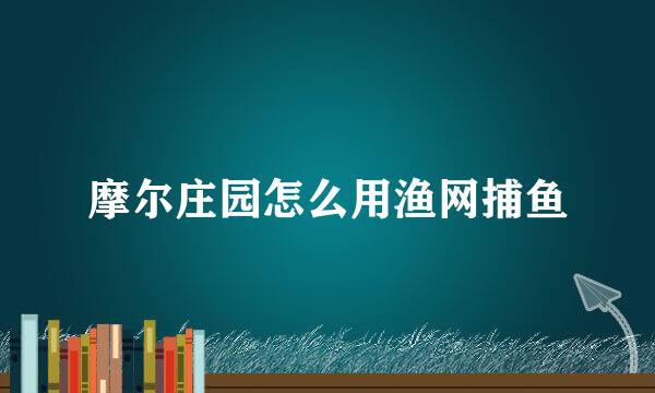 摩尔庄园怎么用渔网捕鱼
