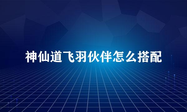神仙道飞羽伙伴怎么搭配
