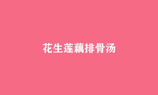 花生莲藕排骨汤