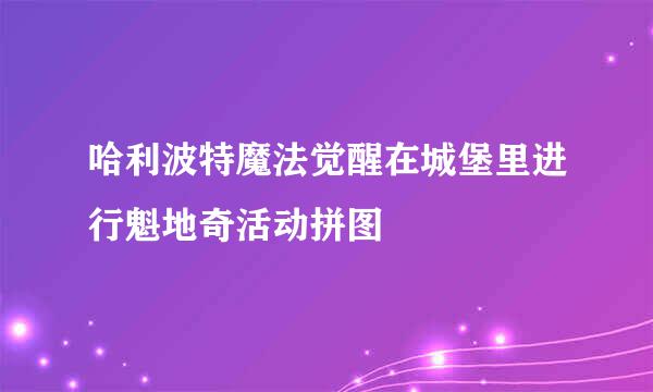 哈利波特魔法觉醒在城堡里进行魁地奇活动拼图