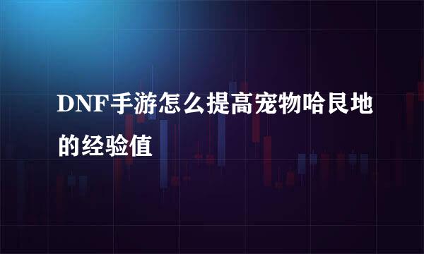 DNF手游怎么提高宠物哈艮地的经验值
