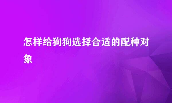 怎样给狗狗选择合适的配种对象