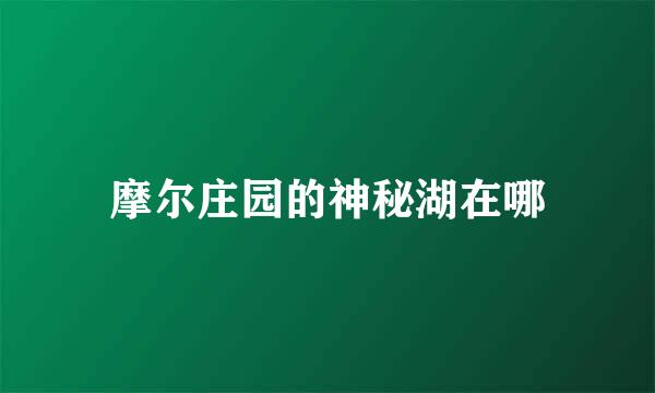 摩尔庄园的神秘湖在哪