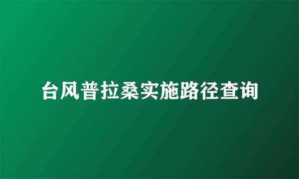 台风普拉桑实施路径查询