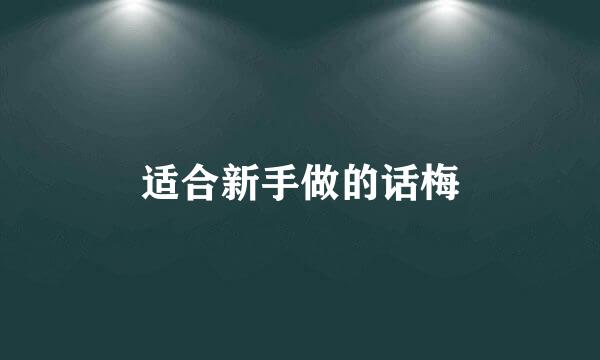 适合新手做的话梅