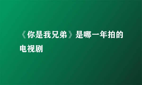 《你是我兄弟》是哪一年拍的电视剧