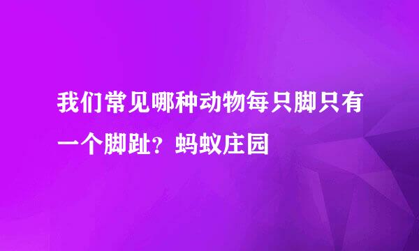 我们常见哪种动物每只脚只有一个脚趾？蚂蚁庄园