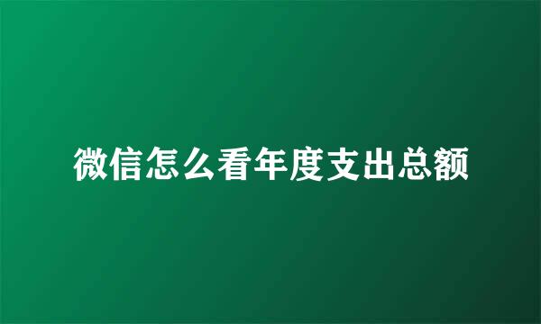 微信怎么看年度支出总额
