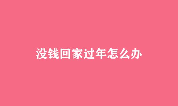 没钱回家过年怎么办