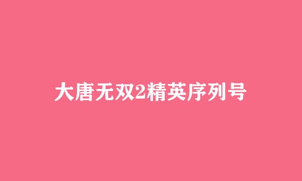 大唐无双2精英序列号