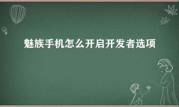 魅族手机怎么开启开发者选项