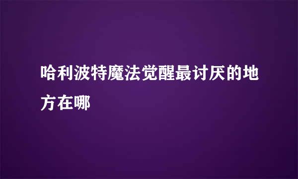 哈利波特魔法觉醒最讨厌的地方在哪