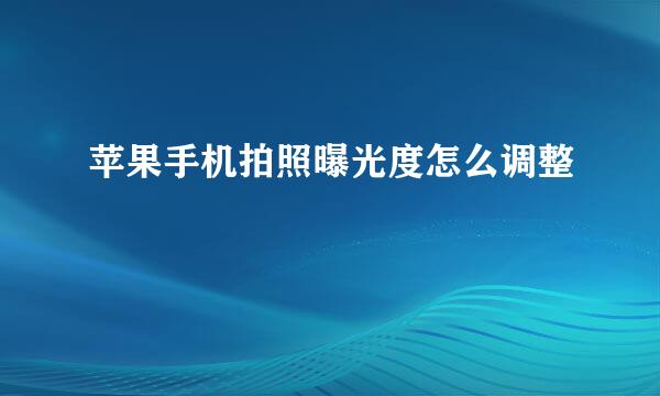 苹果手机拍照曝光度怎么调整