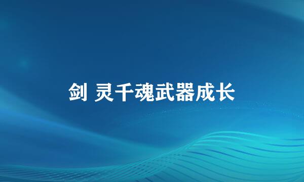 剑 灵千魂武器成长