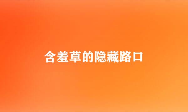 含羞草的隐藏路口