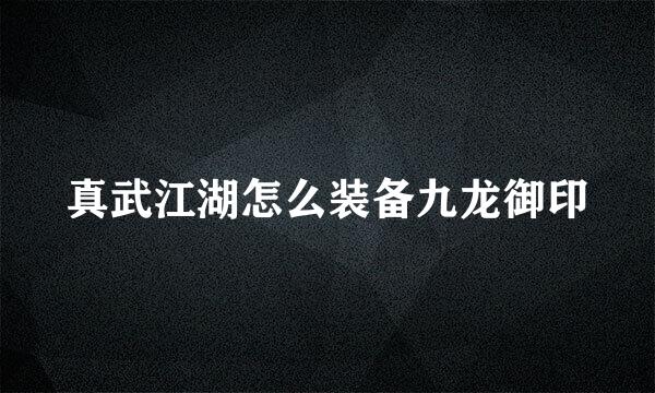 真武江湖怎么装备九龙御印