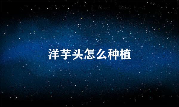 洋芋头怎么种植