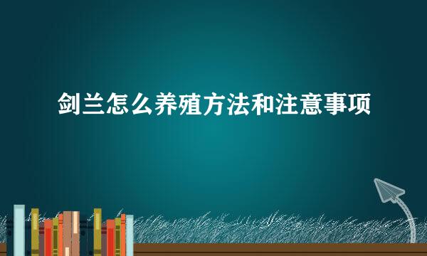 剑兰怎么养殖方法和注意事项