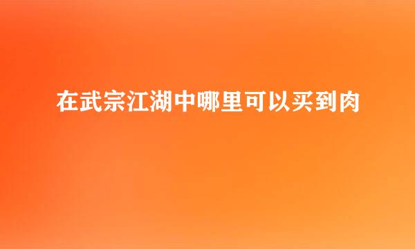 在武宗江湖中哪里可以买到肉
