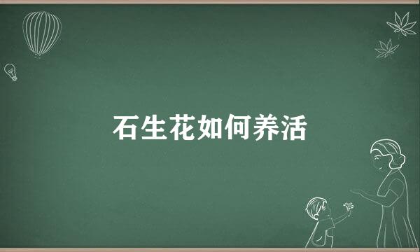 石生花如何养活