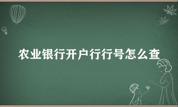 农业银行开户行行号怎么查