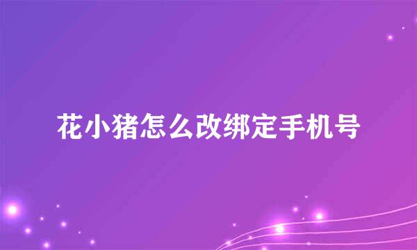 花小猪怎么改绑定手机号
