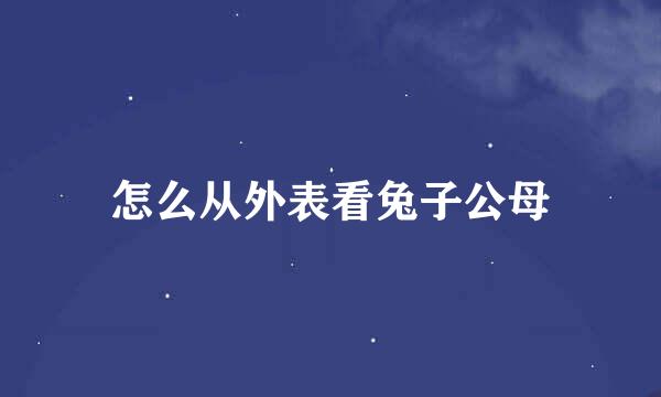怎么从外表看兔子公母