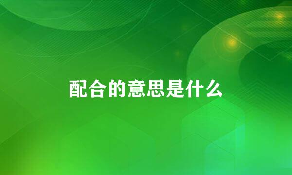 配合的意思是什么