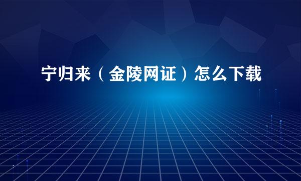 宁归来（金陵网证）怎么下载