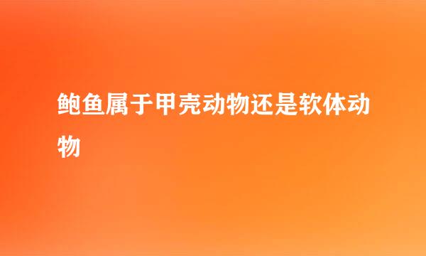 鲍鱼属于甲壳动物还是软体动物